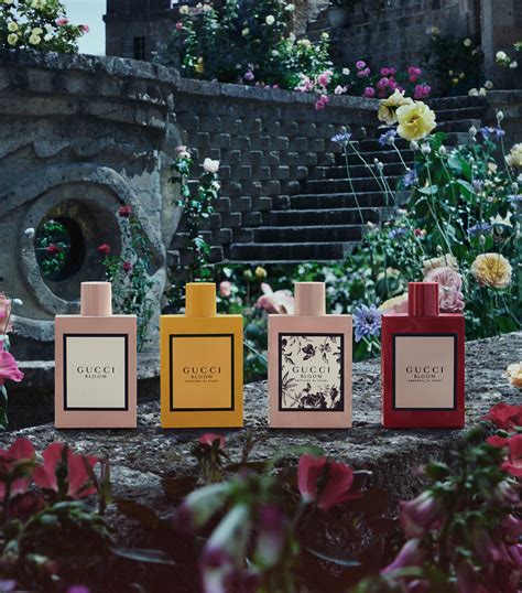 gucci bloom profumo di fiori fragrantica|gucci bloom smell.